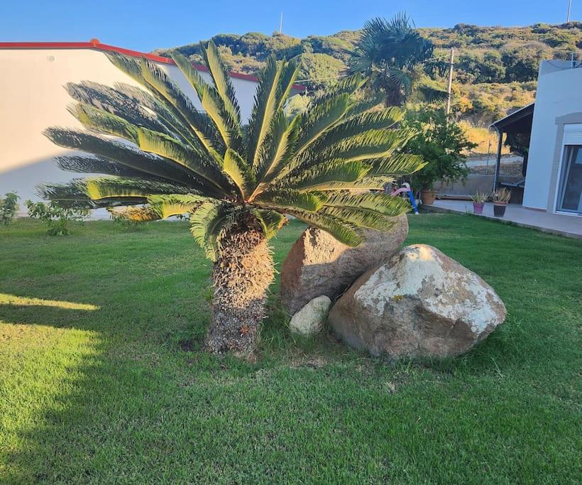 Lux House With Garden Villa Kámpos Dış mekan fotoğraf